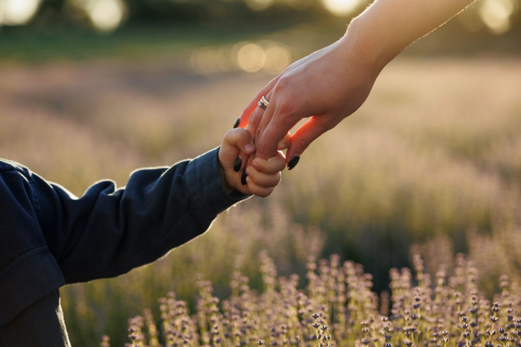 Close-up view of a mother holding her little son's hand while walking in a lavender field